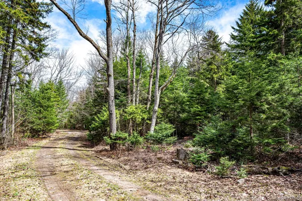 $64,900 | Spear Hill Road, Ellenburg Depot, NY 12935