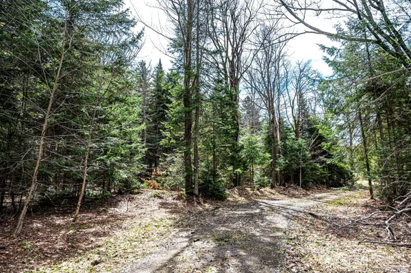 $64,900 | Spear Hill Road, Ellenburg Depot, NY 12935