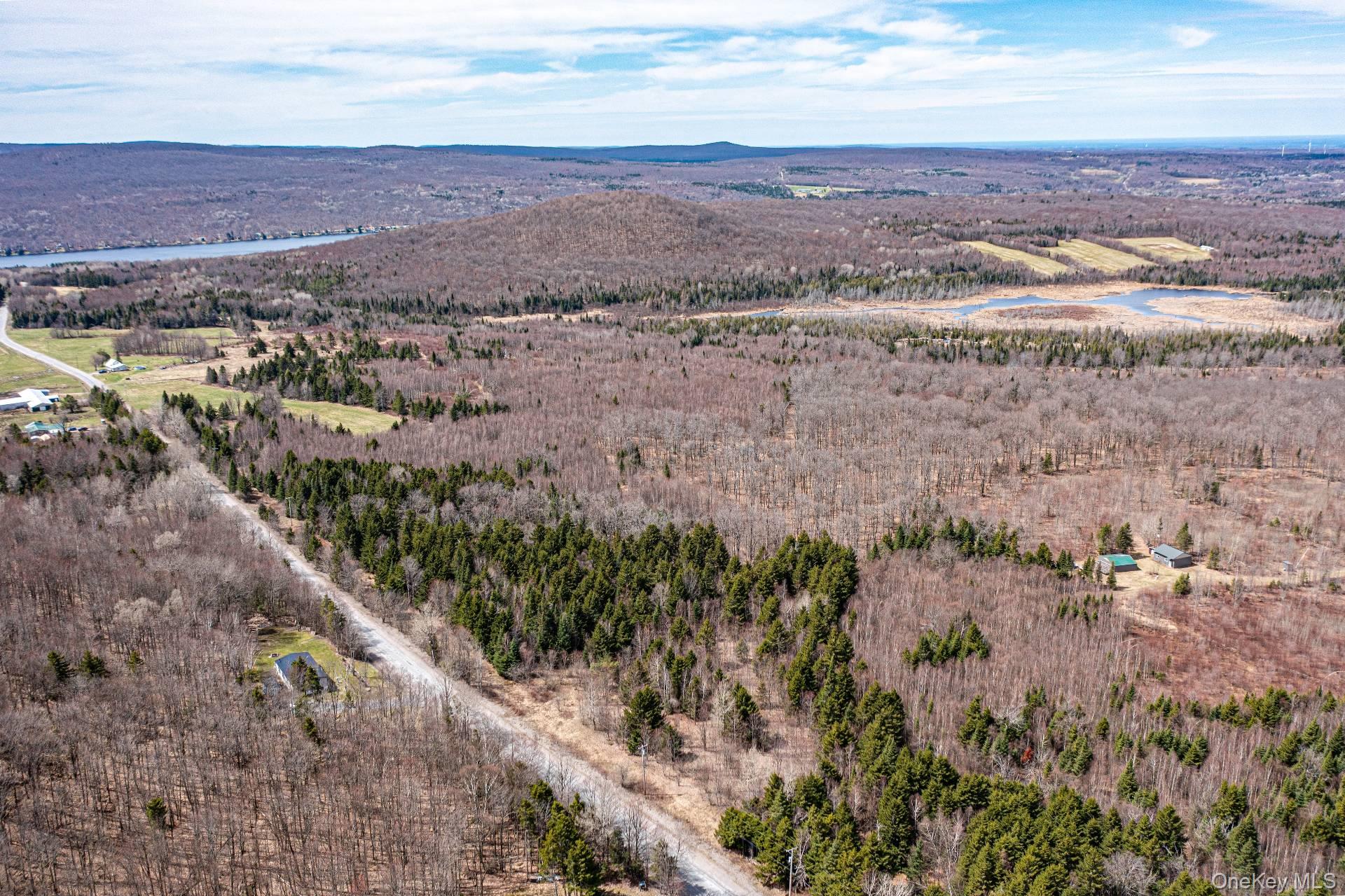 Spear Hill Road Ellenburg Depot, NY 12935 - Photo 10 of 11 a view of city and mountain