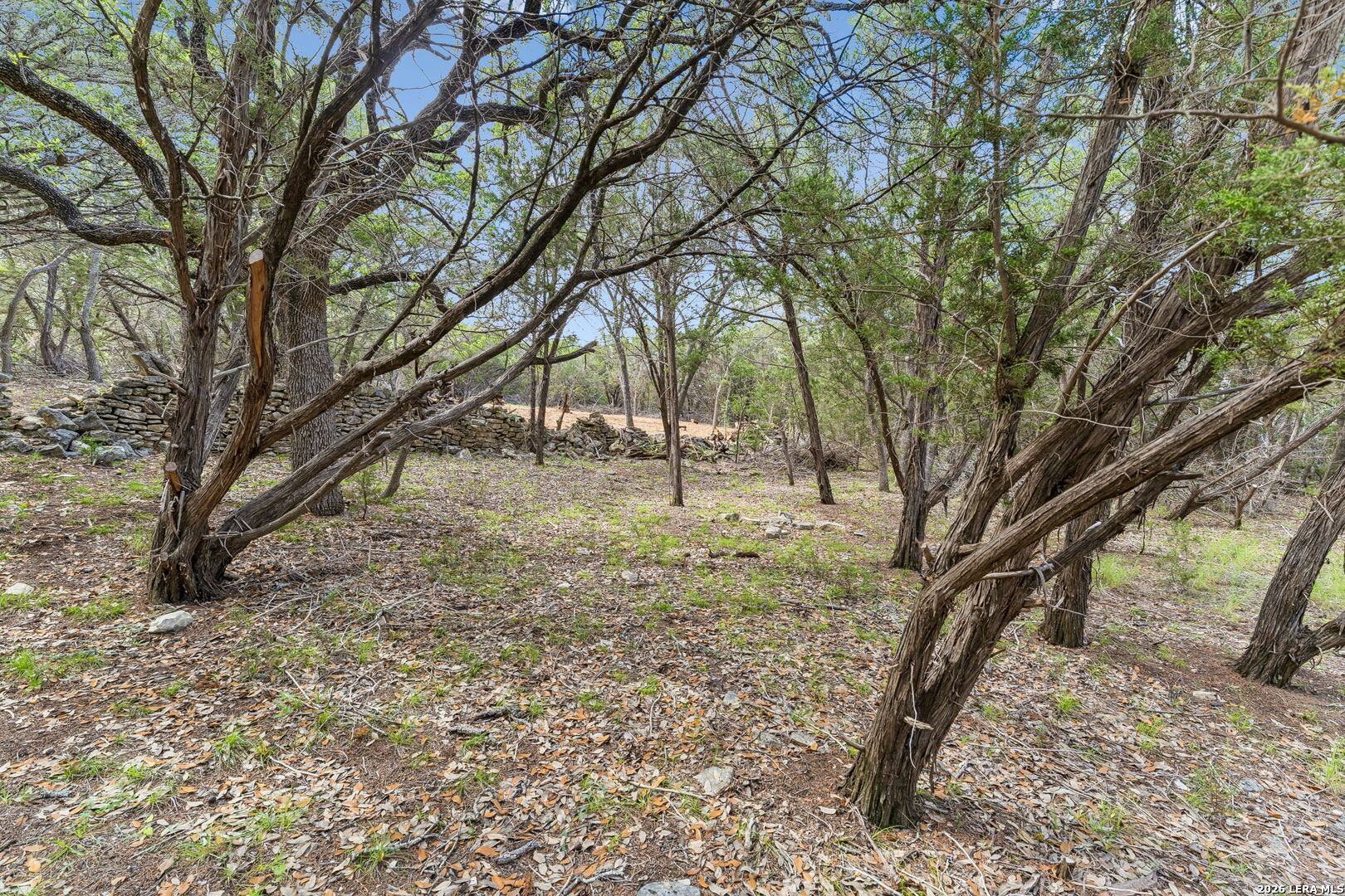 0 Stallion Estates (lot 89) Spring Branch, TX 78070 - Photo 6 of 14
