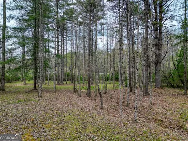 $495,000 | 407 Highland Trace, Unit TRACT E, Blairsville, GA 30512