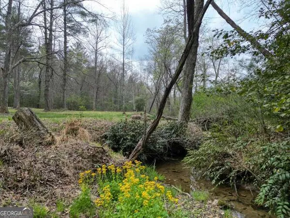$495,000 | 407 Highland Trace, Unit TRACT E, Blairsville, GA 30512