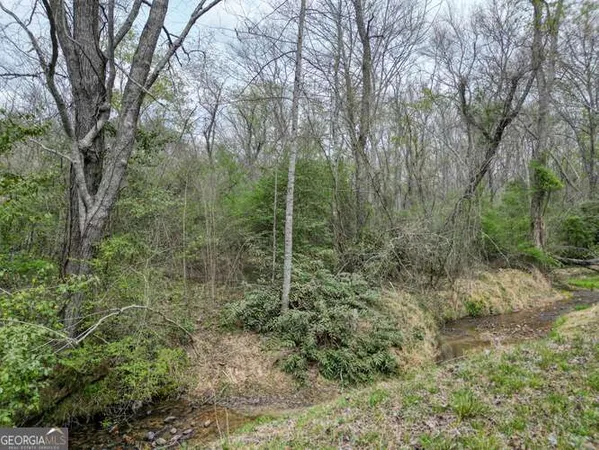 $495,000 | 407 Highland Trace, Unit TRACT E, Blairsville, GA 30512