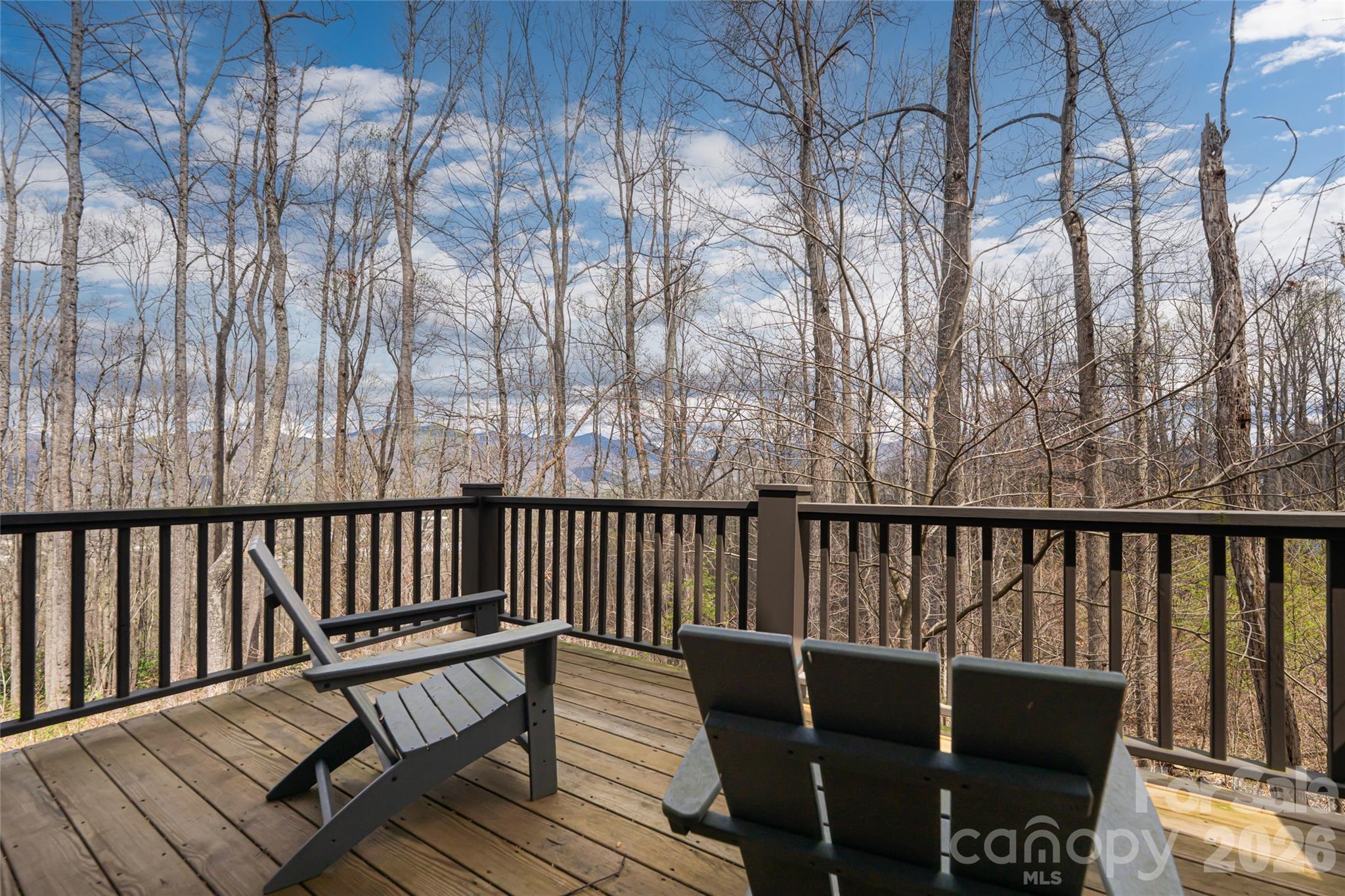 51 Summit Road Swannanoa, NC 28778 - Photo 14 of 48
