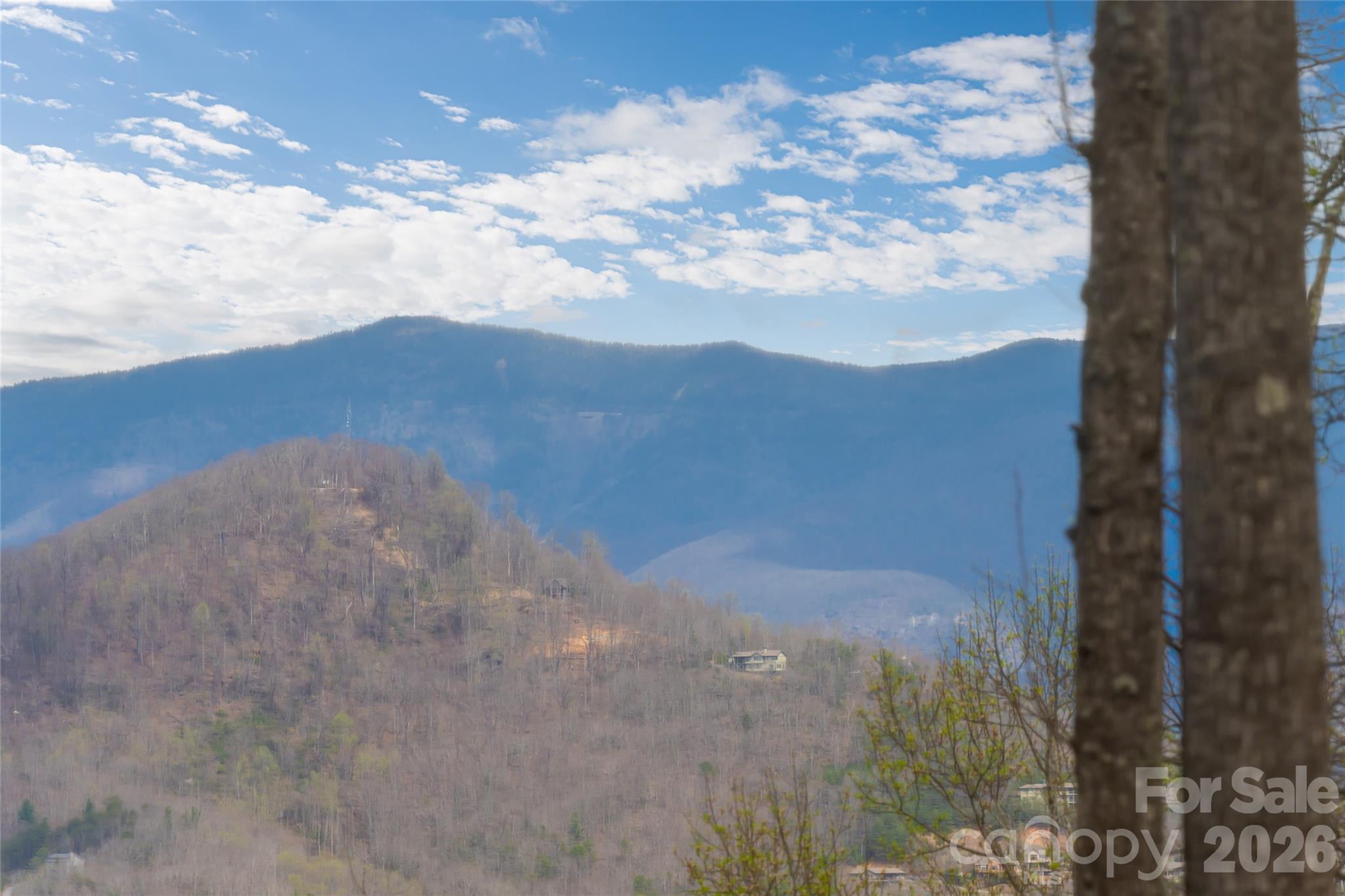 51 Summit Road Swannanoa, NC 28778 - Photo 24 of 48