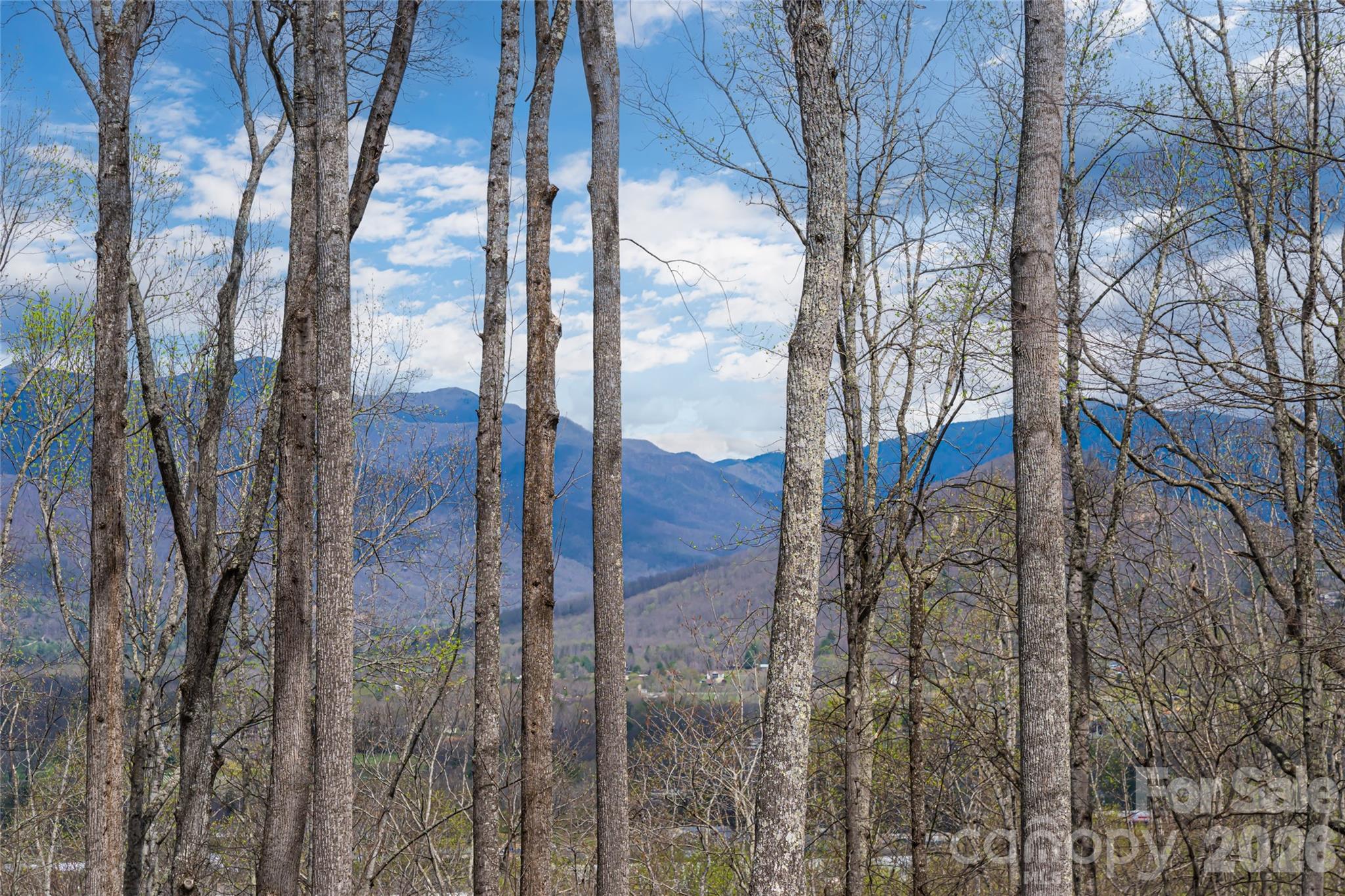 51 Summit Road Swannanoa, NC 28778 - Photo 3 of 48