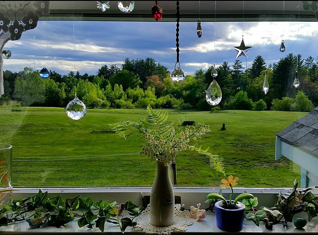 414 River Road Lebanon, ME 04027 - Photo 20 of 39 Backyard Window