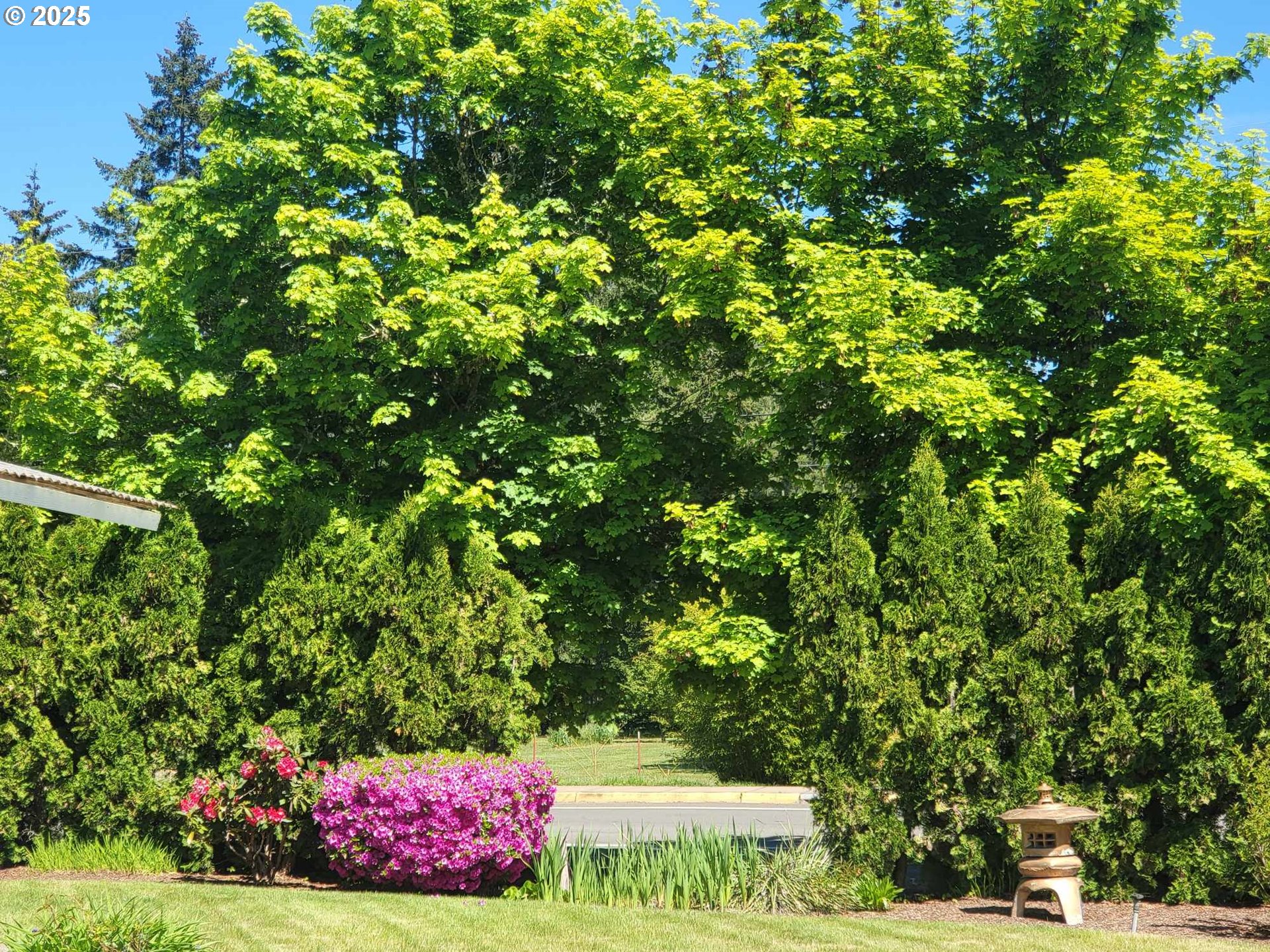 25197 East Bolton Road Veneta, OR 97487 - Photo 32 of 33