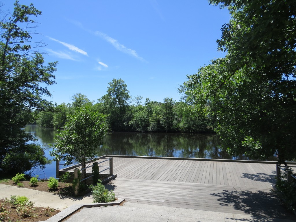 20 Riverside Street, Unit 38 Watertown, MA 02472 - Photo 13 of 15 Gallery Image 13