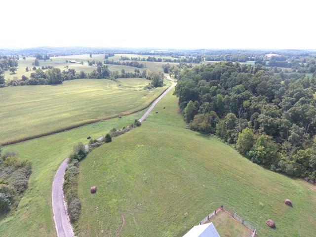 1768 Terry Coal Road Crofton, KY 42217 - Photo 20 of 28 LONG PRIVATE DRIVEWAY