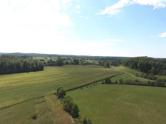 1768 Terry Coal Road Crofton, KY 42217 - Photo 26 of 28 Gallery Image 26