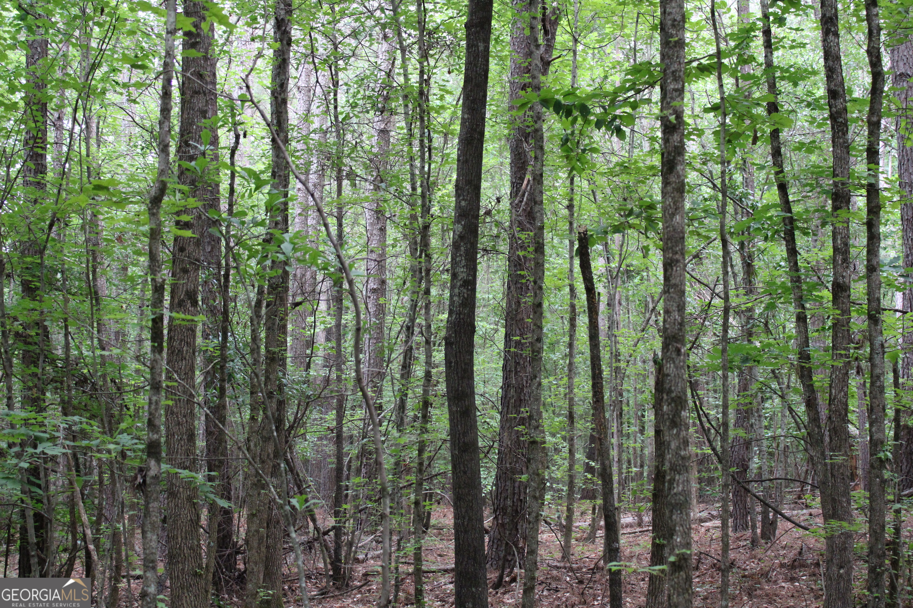 2 Garnett Ward Road Hull, GA 30646 - Photo 2 of 24 a view of outdoor space and green space