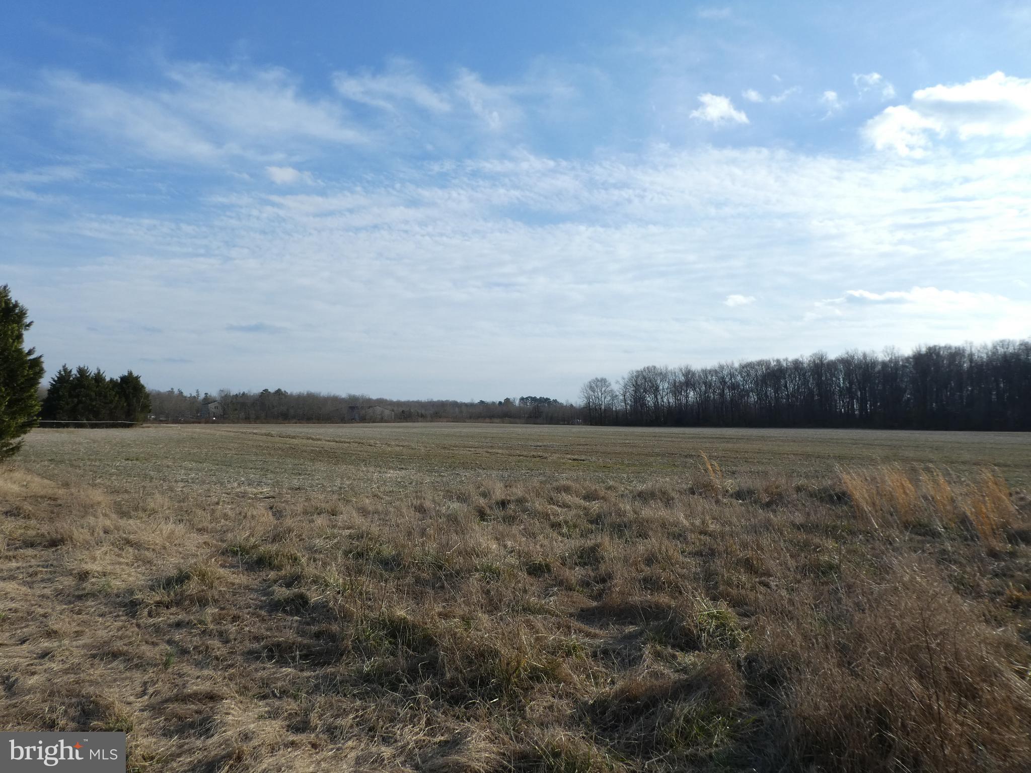 1338 Spectrum Farms Road Felton, DE 19943 - Photo 12 of 61 Gallery Image 12