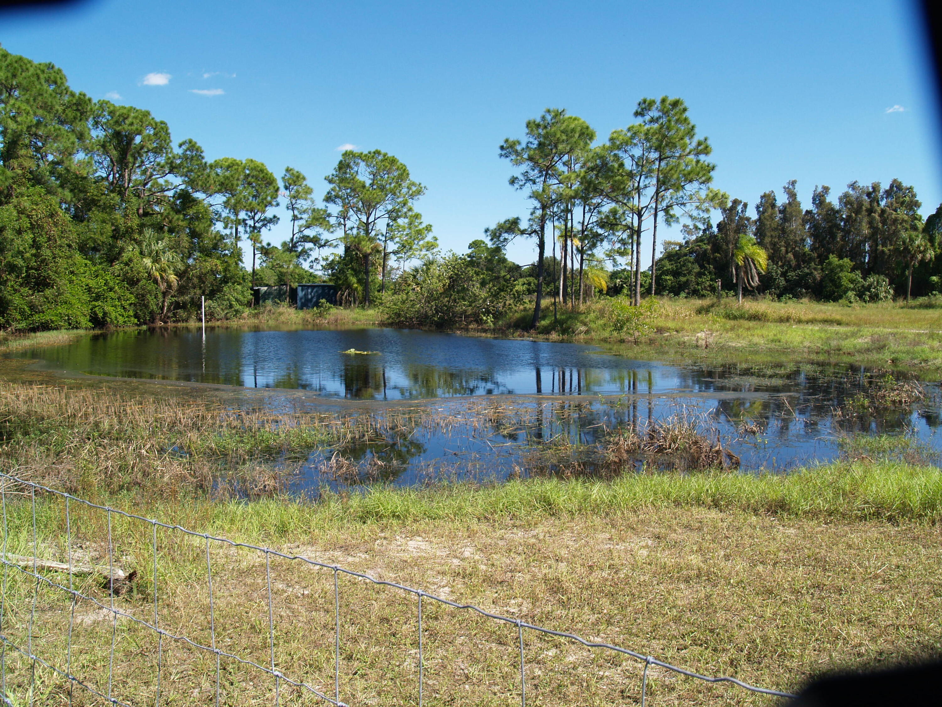 6815 Monmouth Road West Palm Beach, FL 33413 - Photo 5 of 6 a view of a garden with an outdoor space