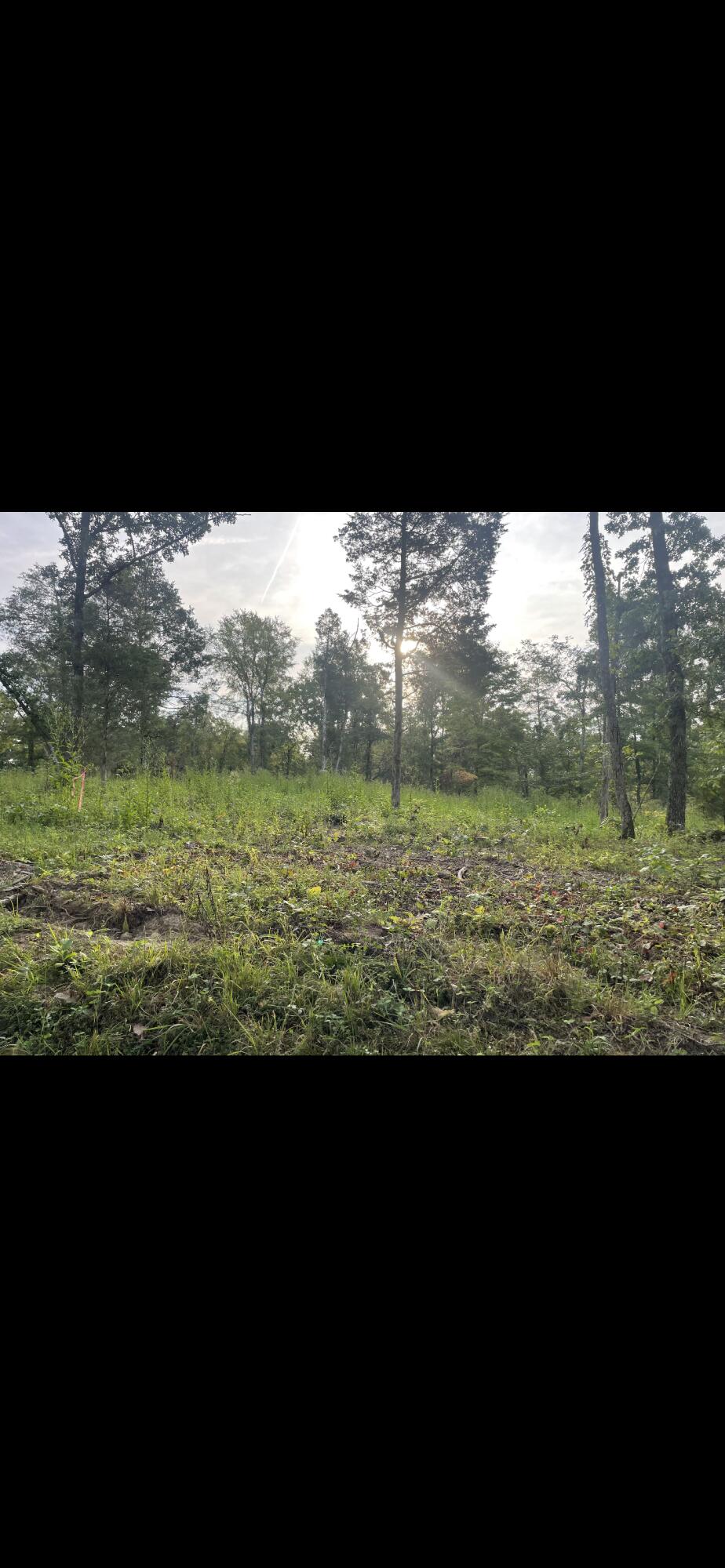 Lot 2 Race Track Road Rogersville, TN 37857 - Photo 1 of 3 RT 2
