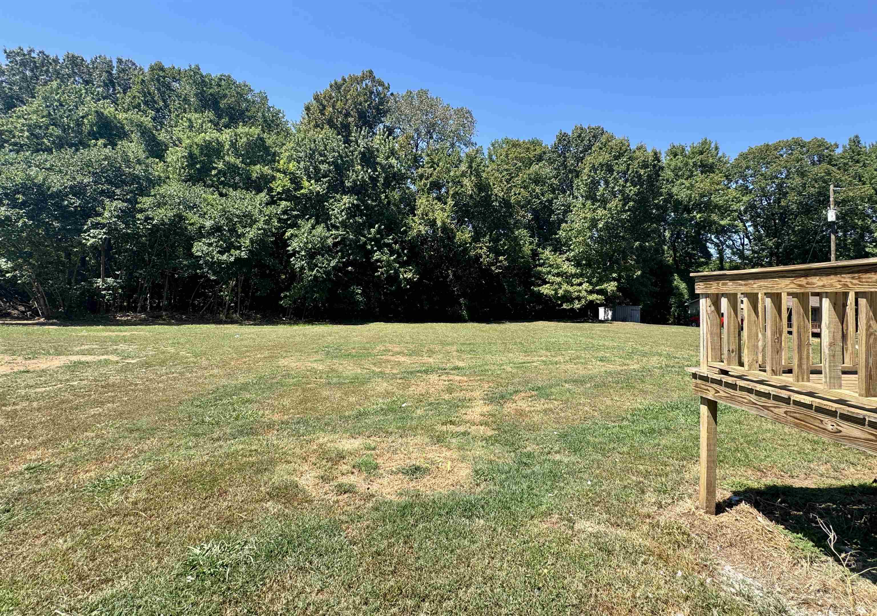 4638 Asbury Glimp Road Ripley, TN 38063 - Photo 5 of 16 a view of a garden