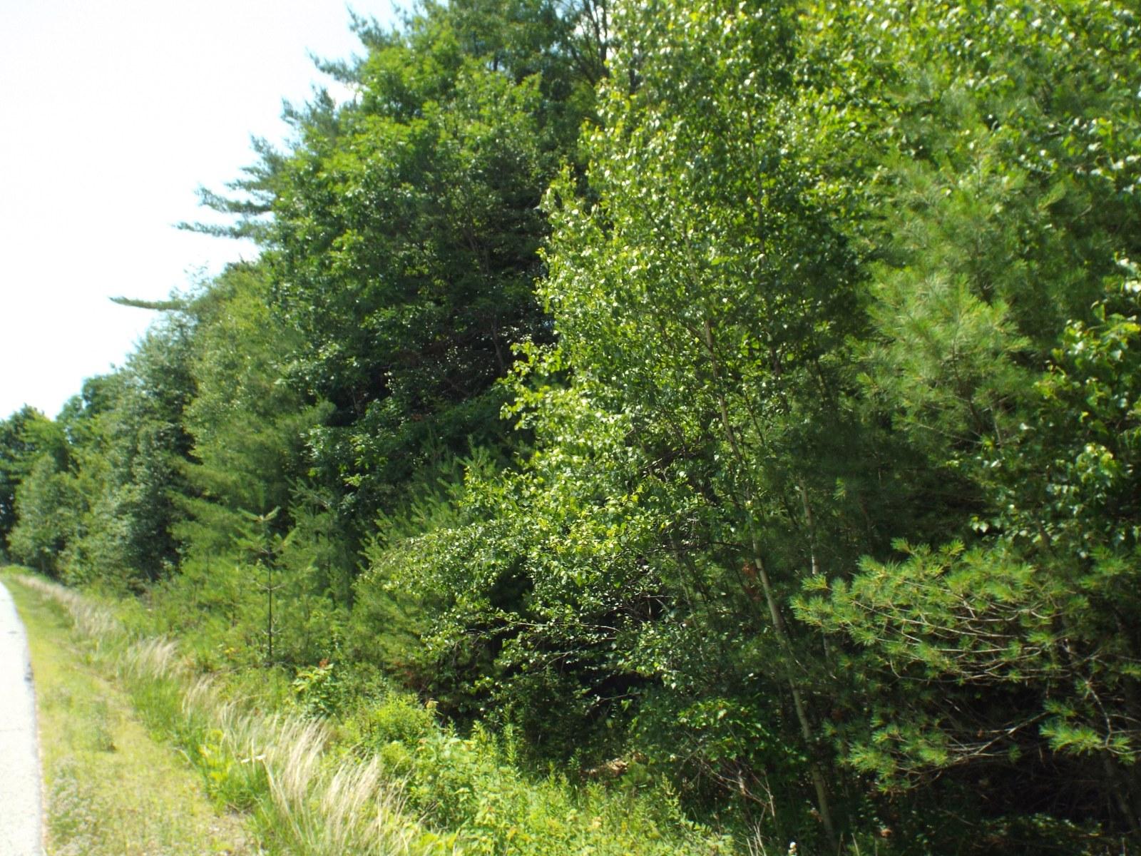 0 Norway Road Harrison, ME 04040 - Photo 2 of 3 DSCF4941_1600x1200