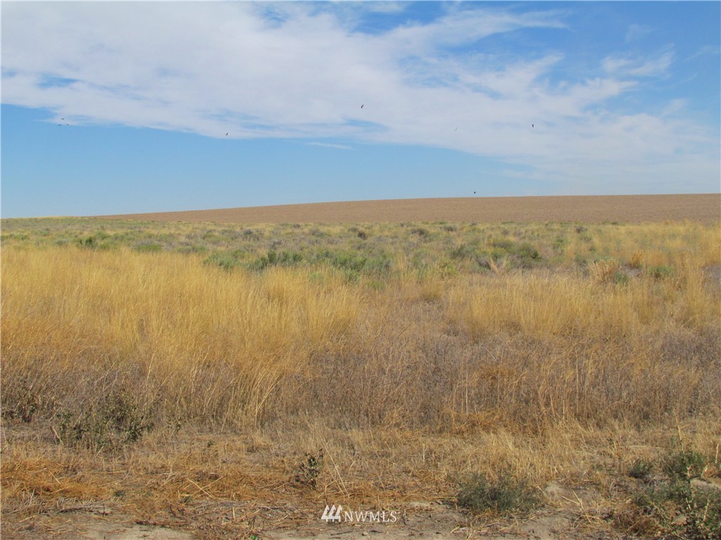 0 Johnson Road Othello, WA 99344 - Photo 1 of 4