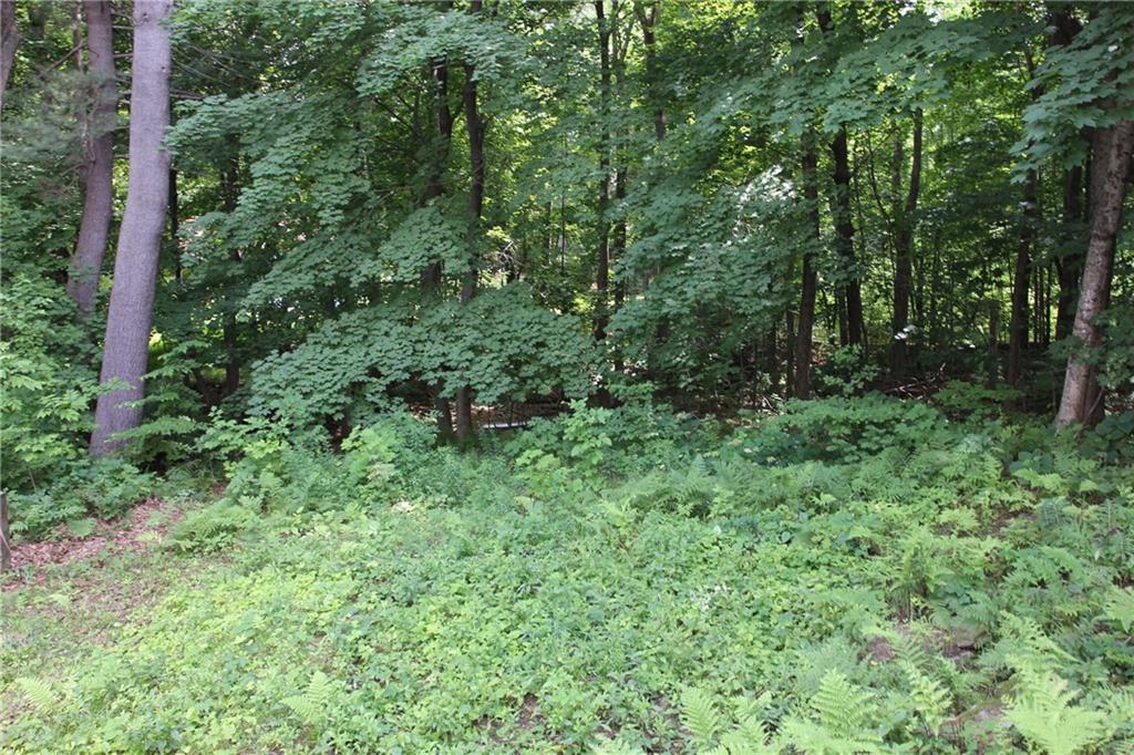 0 Verrill Road Minot, ME 04258 - Photo 1 of 12 Photo