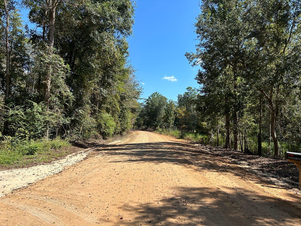 1.9-ac Barnes Road Gordon, AL 36343 - Photo 5 of 28