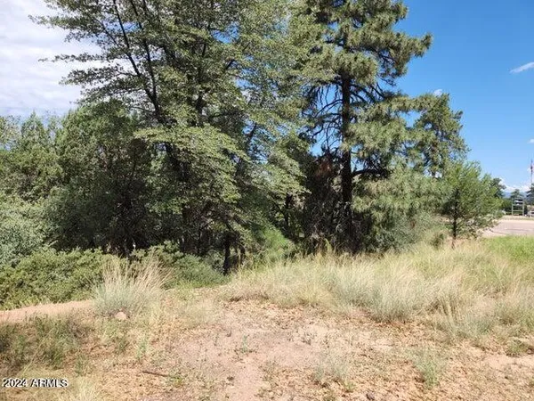 $65,000 | 910 North Beeline Highway, Unit 89, Payson, AZ 85541