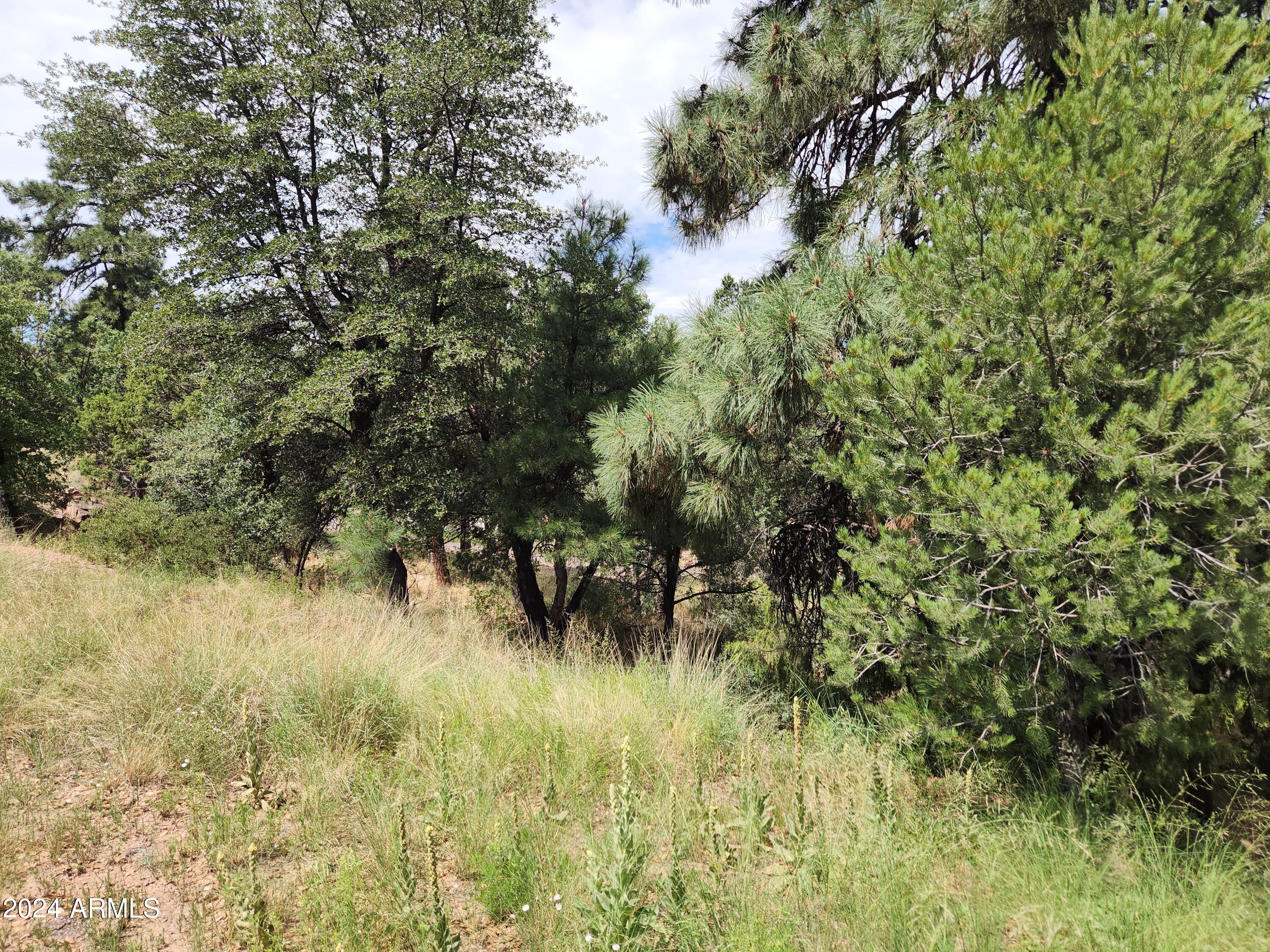910 North Beeline Highway, Unit 89 Payson, AZ 85541 - Photo 2 of 4 IMG_20240802_104102