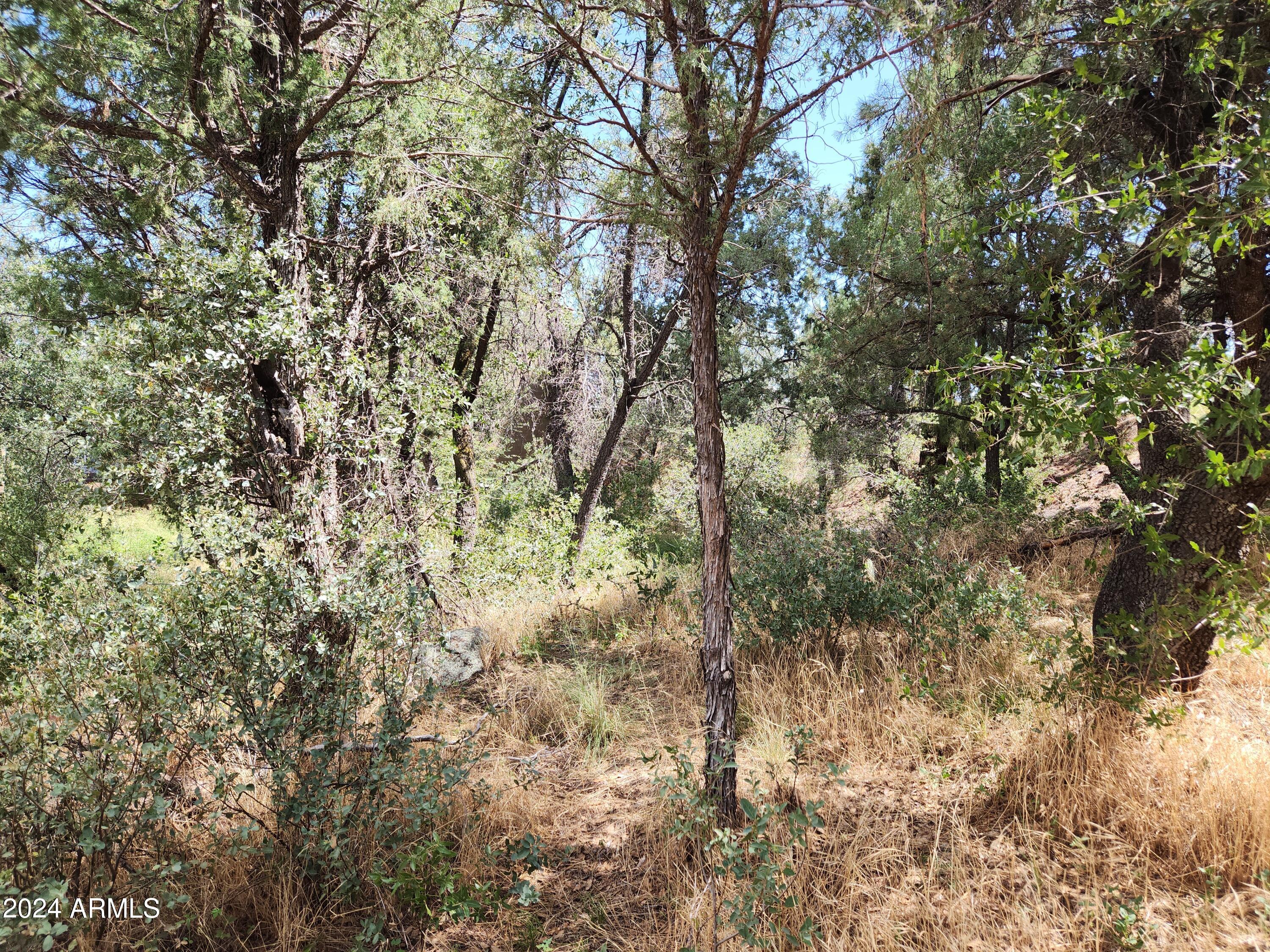 910 North Beeline Highway, Unit 89 Payson, AZ 85541 - Photo 3 of 4 IMG_20240802_104225