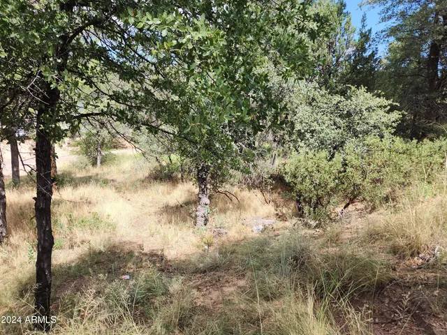 $65,000 | 910 North Beeline Highway, Unit 89, Payson, AZ 85541