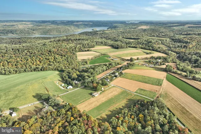 a view of a green field