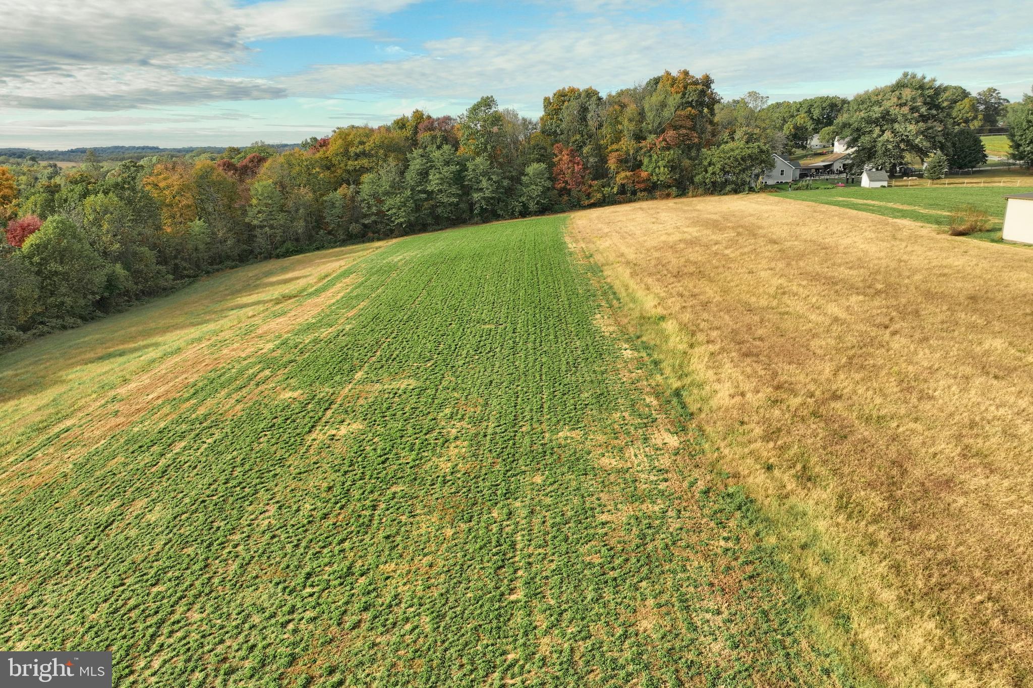4877 Battlehill Road Brogue, PA 17309 - Photo 48 of 49 a view of a yard with an outdoor space