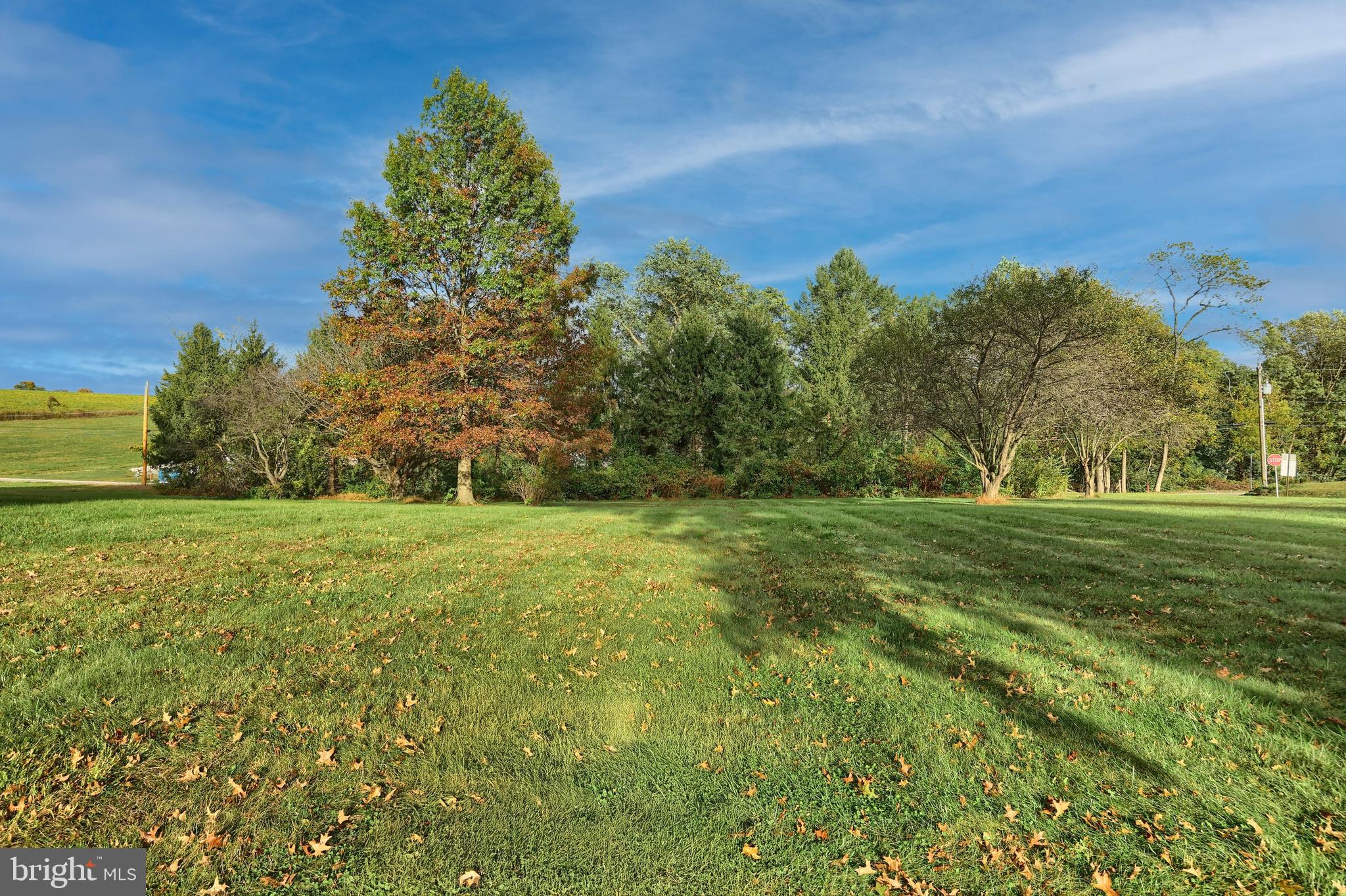 4877 Battlehill Road Brogue, PA 17309 - Photo 49 of 49 a view of a green field
