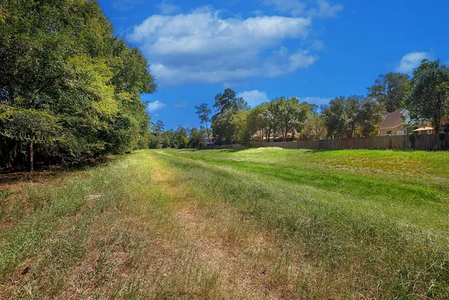 a view of a field with an trees