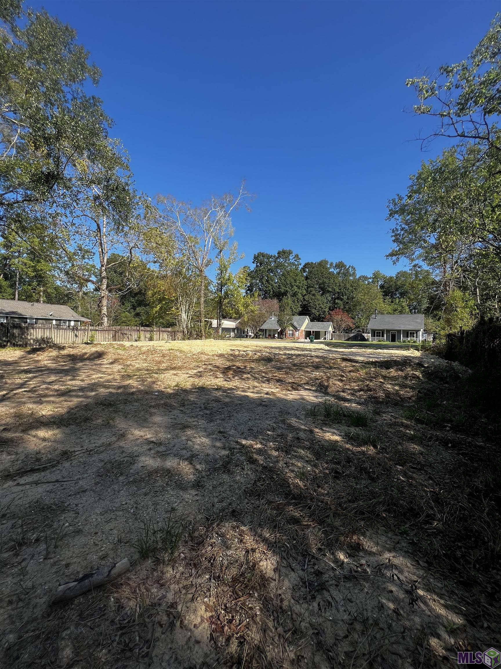 308 Carroll Street Denham Springs, LA 70726 - Photo 4 of 5