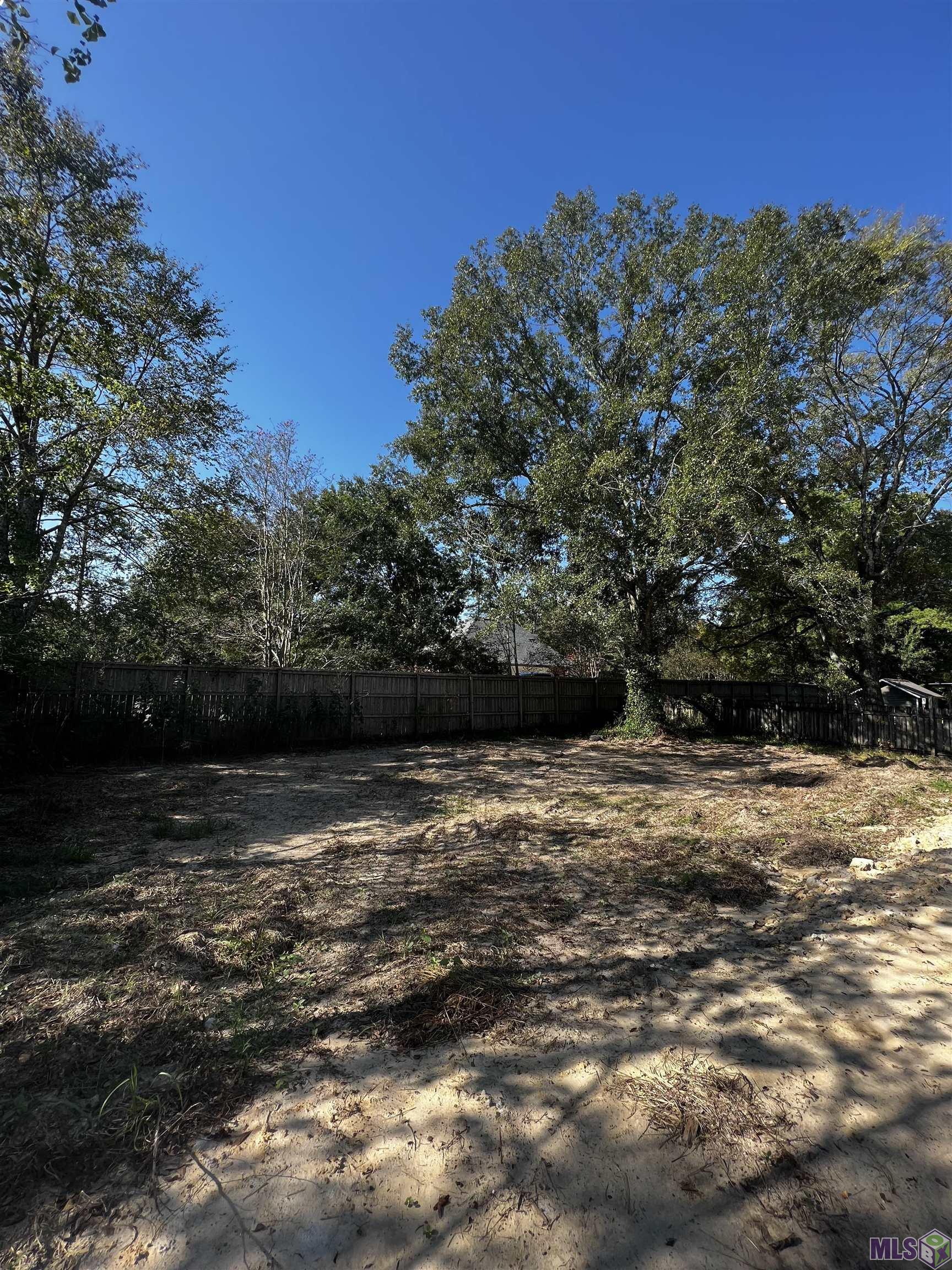 308 Carroll Street Denham Springs, LA 70726 - Photo 5 of 5