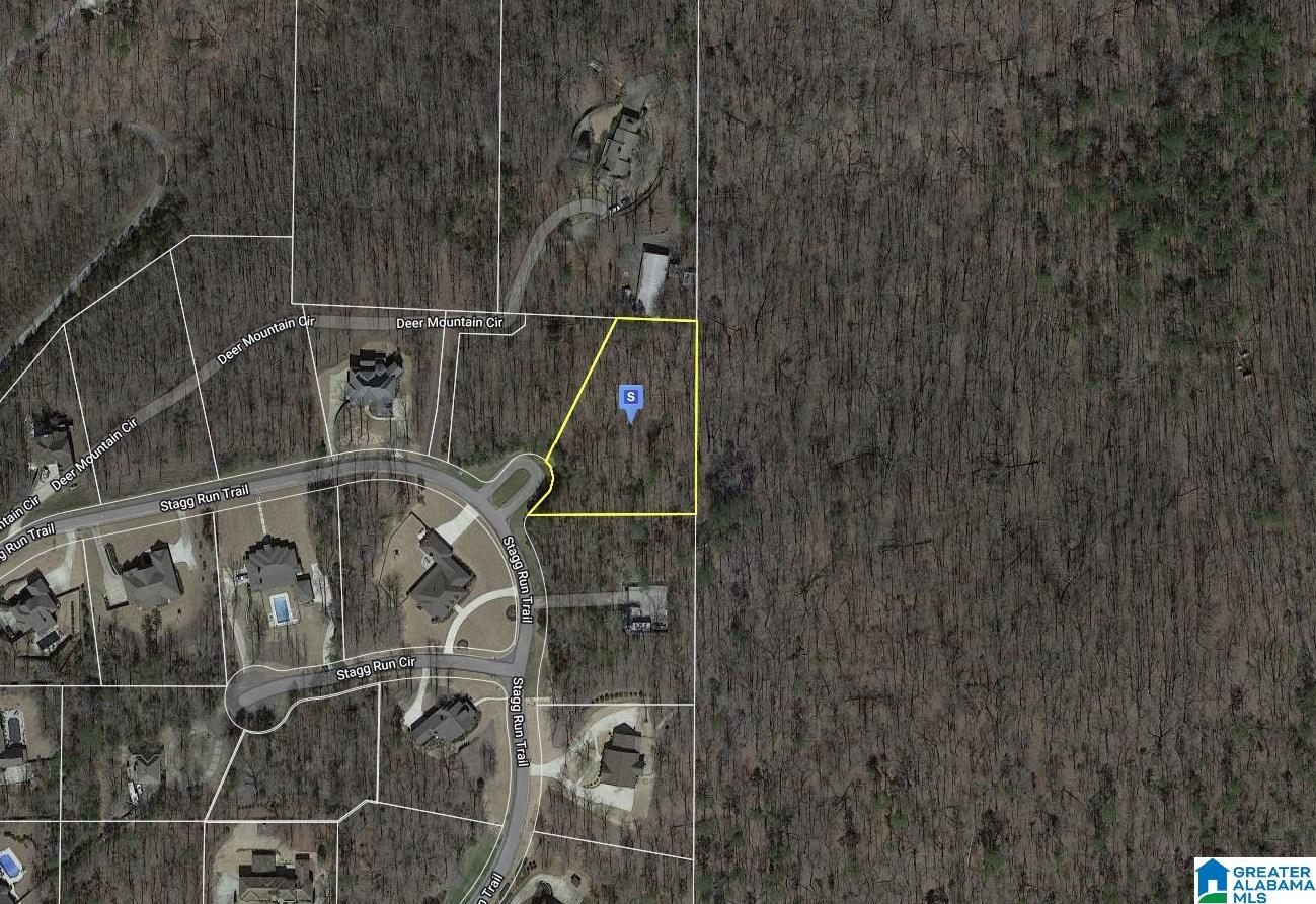 1101 Stagg Run Trail Pelham, AL 35124 - Photo 1 of 1