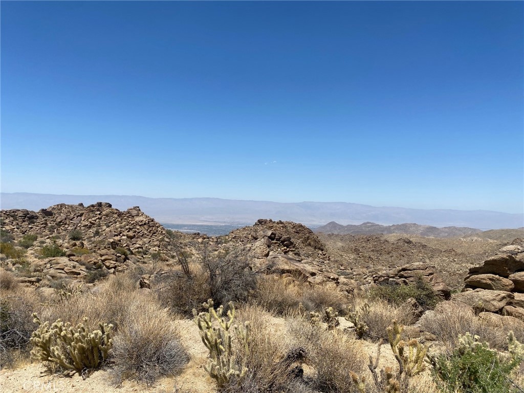 15 Desert Calico Mountain Ctr Ca  