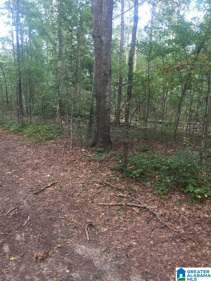 241 Sulphur Springs Road, Unit 9 89 ACRES Lincoln, AL 35096 - Photo 34 of 44