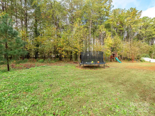 a view of a park with large trees