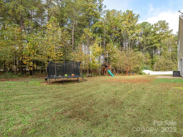 a view of a yard with a trees
