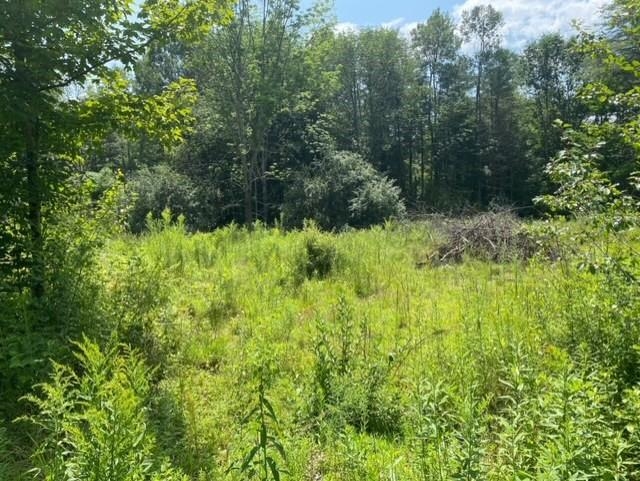 600 Kendricks Corner Road Weathersfield, VT 05151 - Photo 1 of 10
