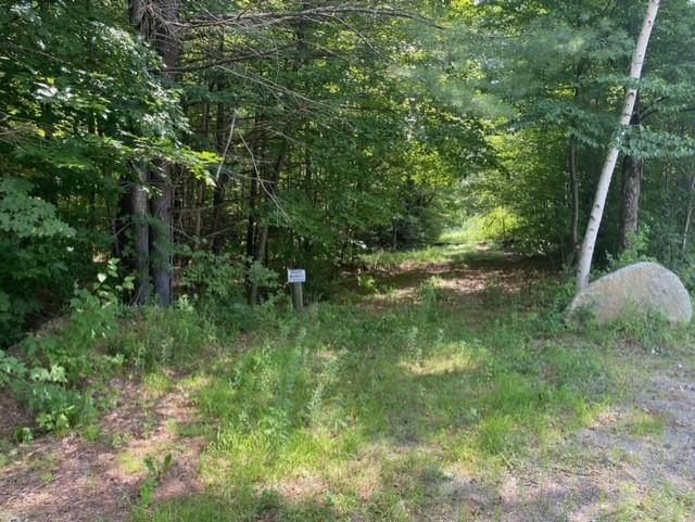 600 Kendricks Corner Road Weathersfield, VT 05151 - Photo 3 of 10