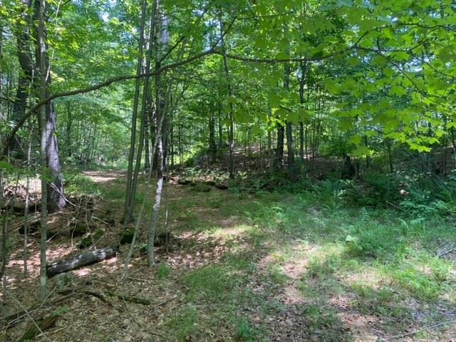 600 Kendricks Corner Road Weathersfield, VT 05151 - Photo 4 of 10