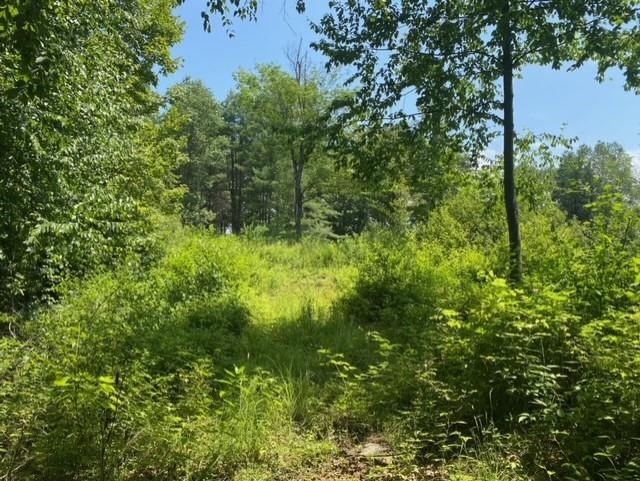 600 Kendricks Corner Road Weathersfield, VT 05151 - Photo 5 of 10