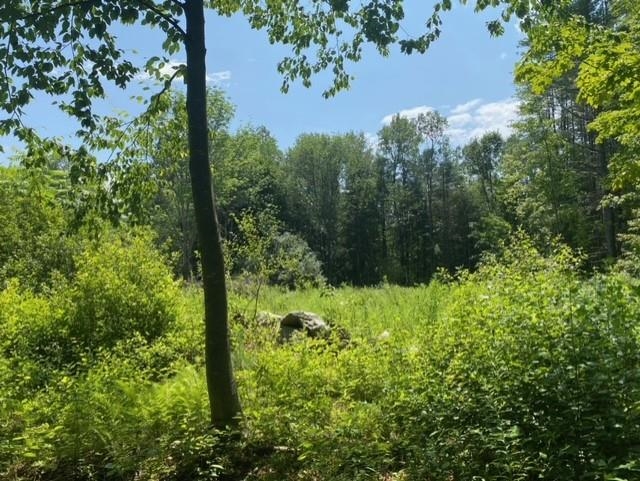 600 Kendricks Corner Road Weathersfield, VT 05151 - Photo 6 of 10