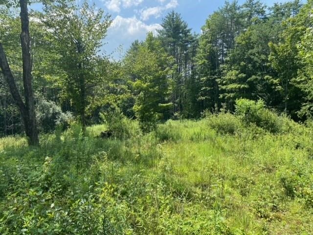 600 Kendricks Corner Road Weathersfield, VT 05151 - Photo 7 of 10