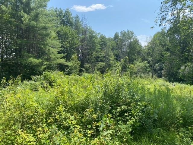 600 Kendricks Corner Road Weathersfield, VT 05151 - Photo 8 of 10