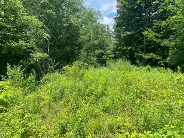600 Kendricks Corner Road Weathersfield, VT 05151 - Photo 9 of 10