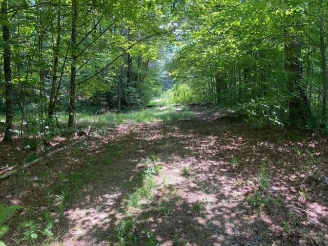 600 Kendricks Corner Road Weathersfield, VT 05151 - Photo 10 of 10