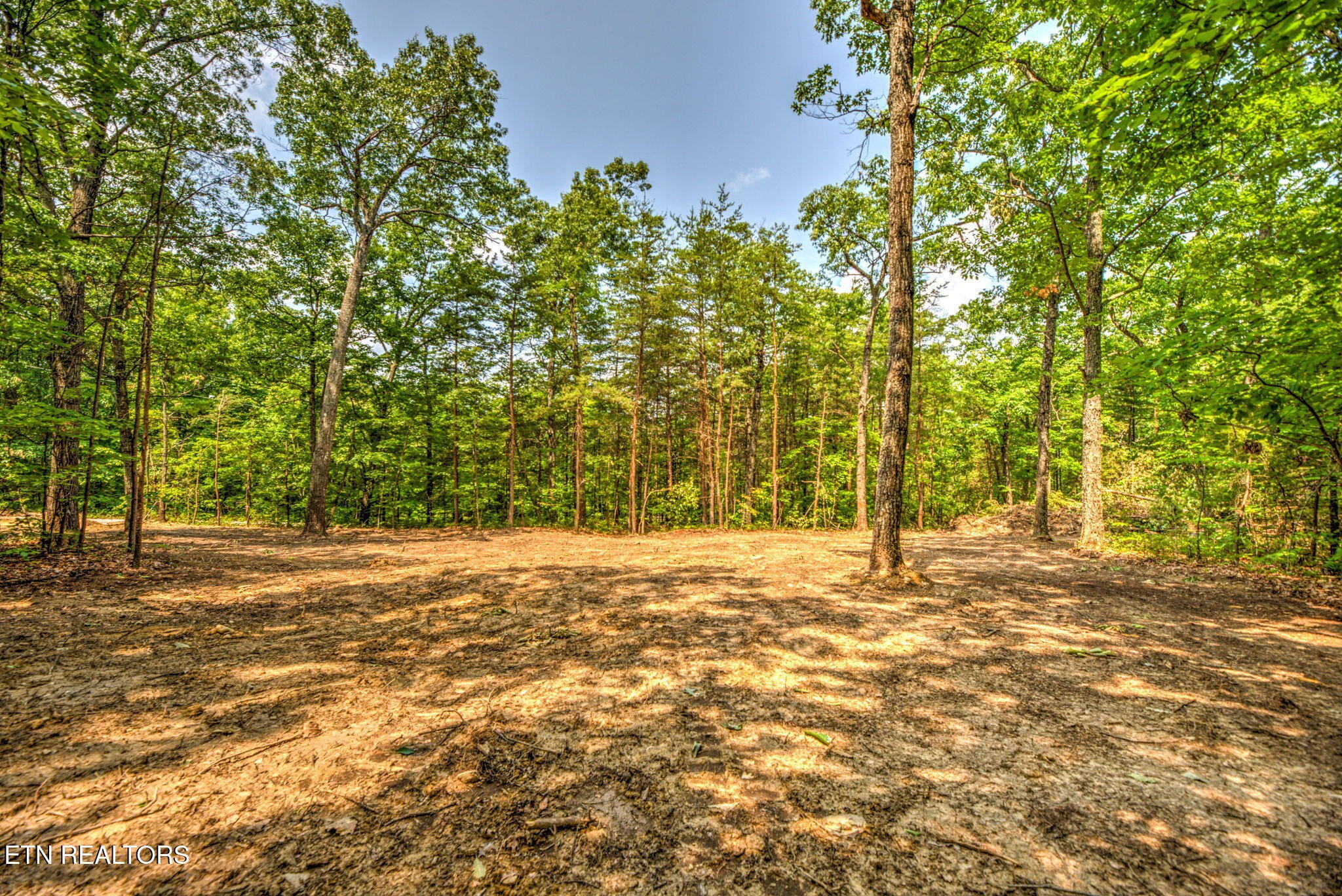 0 Chilly Springs Road Maryville, TN 37803 - Photo 12 of 13 Gallery Image 12