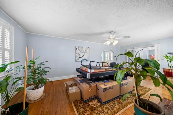 a living room with furniture flowerpot and wooden floor